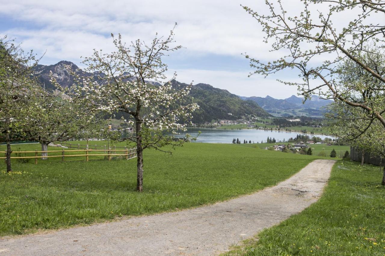Hagerhof Βίλα Walchsee Εξωτερικό φωτογραφία